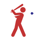 nmaa-baseball-mobile-icon