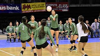 volleyball-gallery-thumb