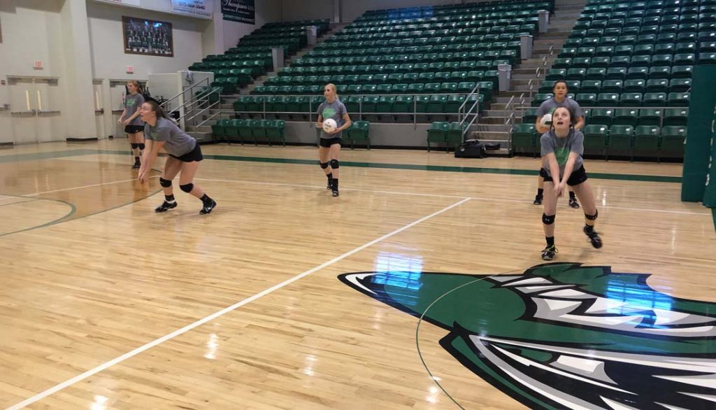 TEXICO VOLLEYBALL IS MAKING A DRIVE FOR FIVE NMAA