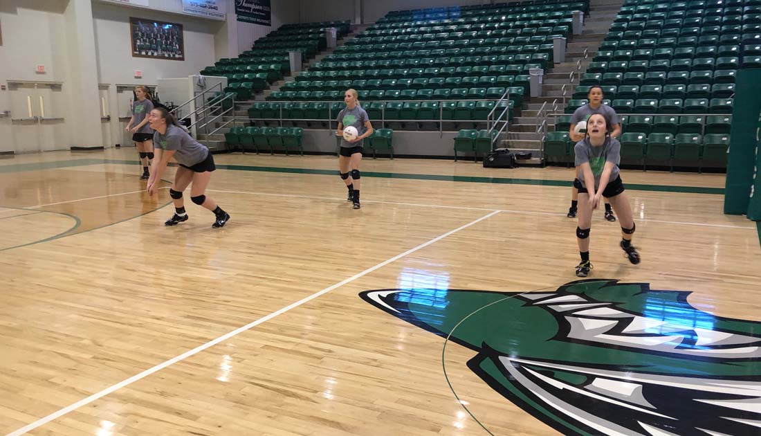 TEXICO VOLLEYBALL IS MAKING A DRIVE FOR FIVE NMAA