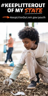 bbh_nmaa_160x320_2_websitebannerad