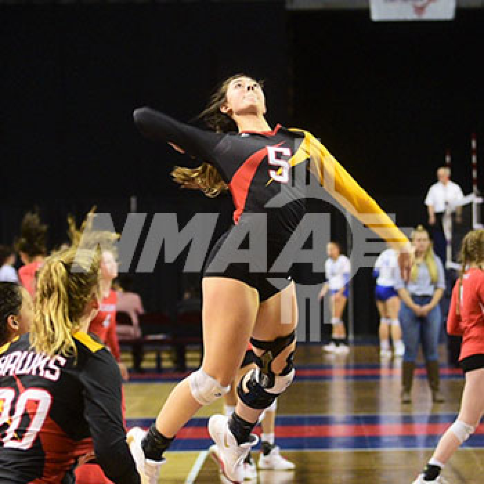 Volleyball NMAA