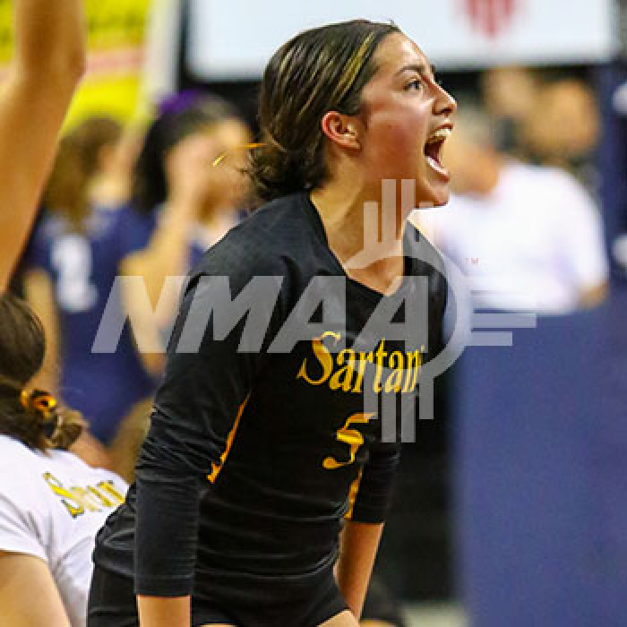 Volleyball NMAA
